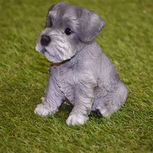 Load image into Gallery viewer, Schnauzer Puppy
