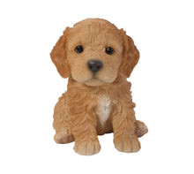 Load image into Gallery viewer, Brown Cockapoo Puppy
