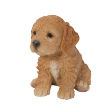Load image into Gallery viewer, Brown Cockapoo Puppy
