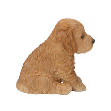 Load image into Gallery viewer, Brown Cockapoo Puppy
