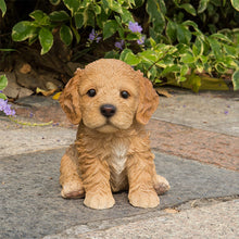 Load image into Gallery viewer, Brown Cockapoo Puppy
