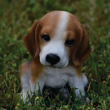 Load image into Gallery viewer, Beagle Puppy
