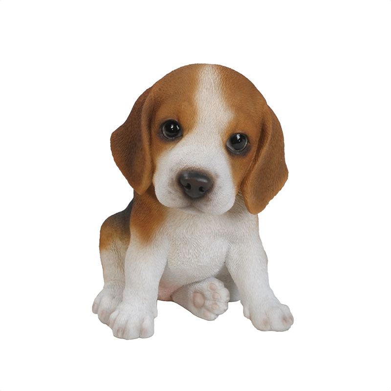 Beagle Puppy
