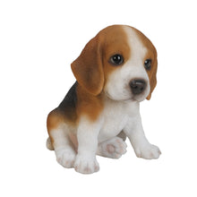 Load image into Gallery viewer, Beagle Puppy
