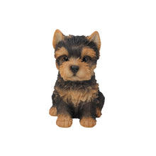 Load image into Gallery viewer, Yorkshire Terrier Puppy
