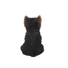 Load image into Gallery viewer, Yorkshire Terrier Puppy
