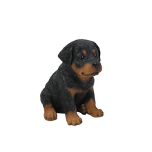 Load image into Gallery viewer, Rottweiler Puppy
