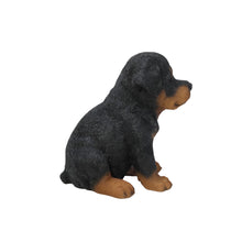 Load image into Gallery viewer, Rottweiler Puppy
