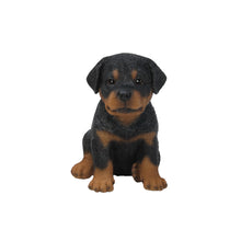 Load image into Gallery viewer, Rottweiler Puppy
