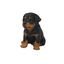 Load image into Gallery viewer, Rottweiler Puppy
