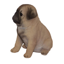 Load image into Gallery viewer, Pug Puppy
