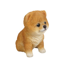 Load image into Gallery viewer, Pomeranian Puppy
