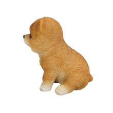 Load image into Gallery viewer, Pomeranian Puppy
