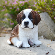 Load image into Gallery viewer, Saint Bernard Puppy

