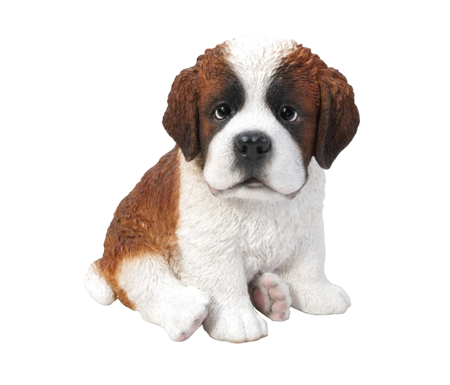 Saint Bernard Puppy