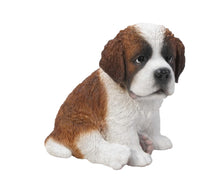 Load image into Gallery viewer, Saint Bernard Puppy
