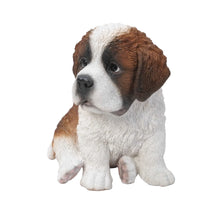 Load image into Gallery viewer, Saint Bernard Puppy
