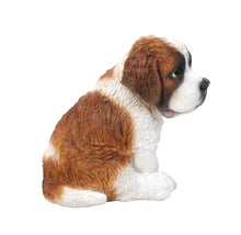 Load image into Gallery viewer, Saint Bernard Puppy
