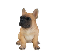 Load image into Gallery viewer, French Bulldog Puppy

