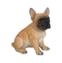 Load image into Gallery viewer, French Bulldog Puppy
