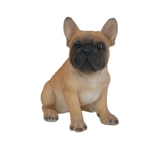 Load image into Gallery viewer, French Bulldog Puppy
