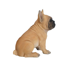 Load image into Gallery viewer, French Bulldog Puppy
