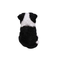 Load image into Gallery viewer, Border Collie Puppy
