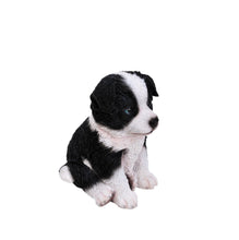 Load image into Gallery viewer, Border Collie Puppy
