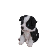 Load image into Gallery viewer, Border Collie Puppy
