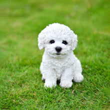 Load image into Gallery viewer, Bichon Frise Puppy
