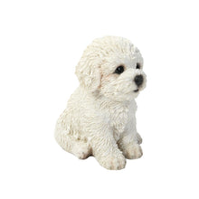 Load image into Gallery viewer, Bichon Frise Puppy
