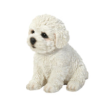 Load image into Gallery viewer, Bichon Frise Puppy
