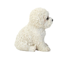 Load image into Gallery viewer, Bichon Frise Puppy
