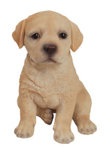 Load image into Gallery viewer, Yellow Labrador Puppy
