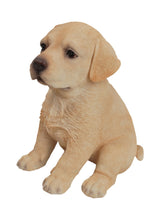 Load image into Gallery viewer, Yellow Labrador Puppy
