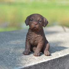 Load image into Gallery viewer, Chocolate Labrador Puppy
