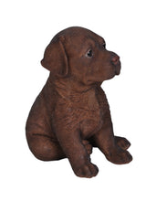 Load image into Gallery viewer, Chocolate Labrador Puppy
