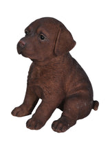 Load image into Gallery viewer, Chocolate Labrador Puppy

