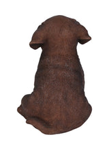 Load image into Gallery viewer, Chocolate Labrador Puppy
