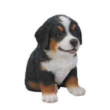 Load image into Gallery viewer, Bernese Mountain Dog Puppy
