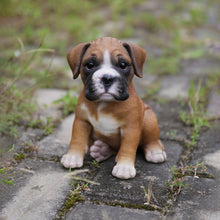 Load image into Gallery viewer, Boxer Puppy

