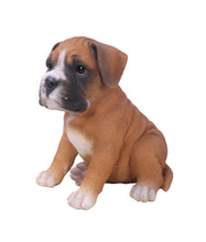 Load image into Gallery viewer, Boxer Puppy
