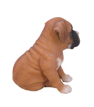 Load image into Gallery viewer, Boxer Puppy
