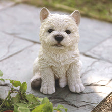 Load image into Gallery viewer, White Terrier Puppy
