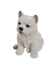 Load image into Gallery viewer, White Terrier Puppy
