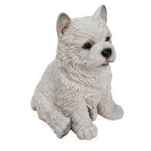 Load image into Gallery viewer, White Terrier Puppy
