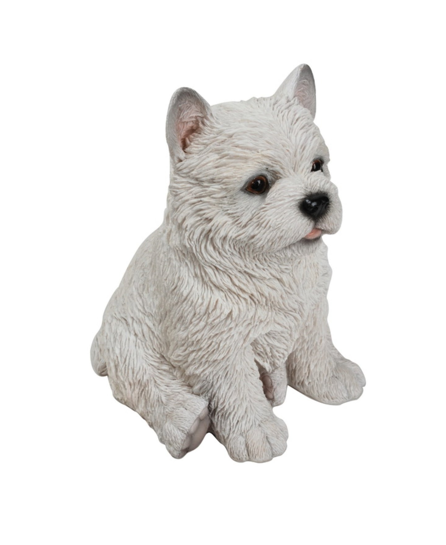 White Terrier Puppy