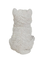 Load image into Gallery viewer, White Terrier Puppy
