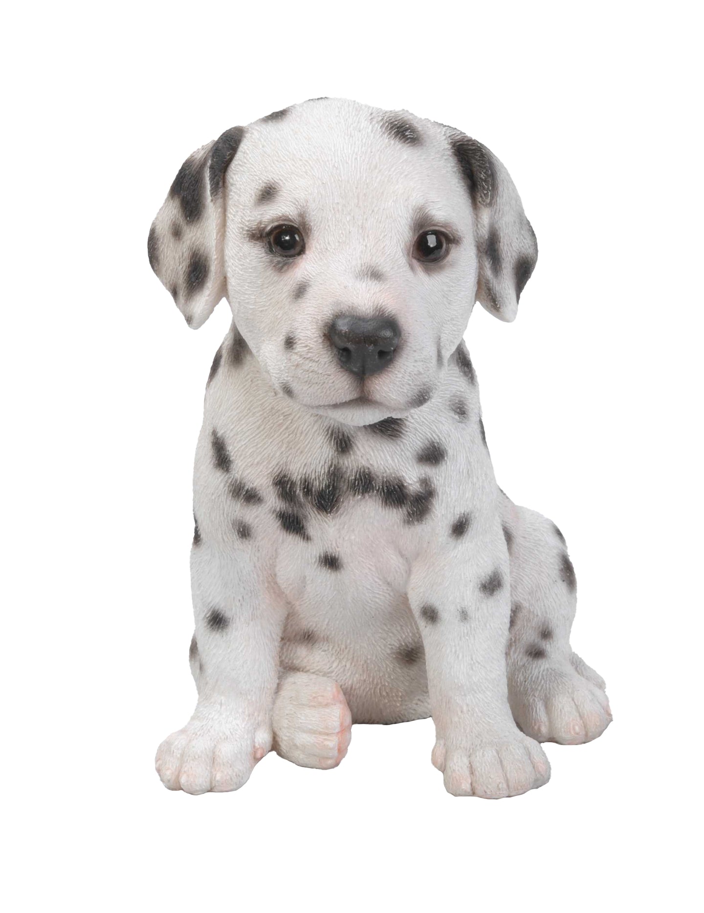 Dalmatian Puppy Statue