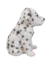 Load image into Gallery viewer, Dalmatian Puppy Statue
